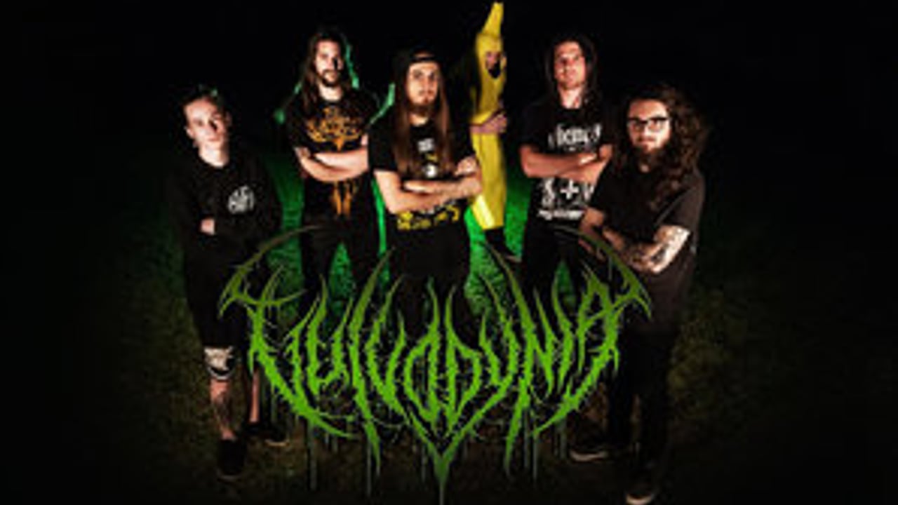 Vulvodynia