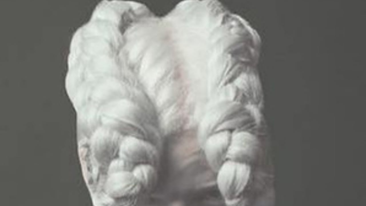 robenx