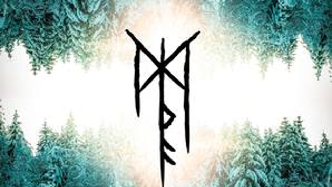 Skáld
