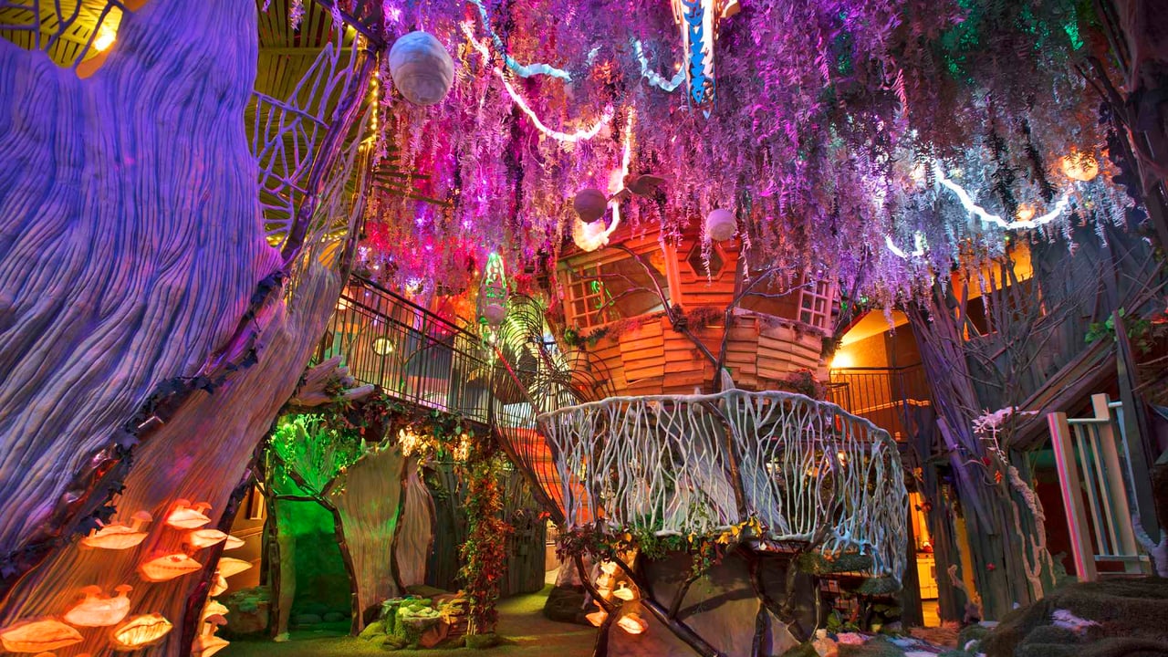 Meow Wolf Denver