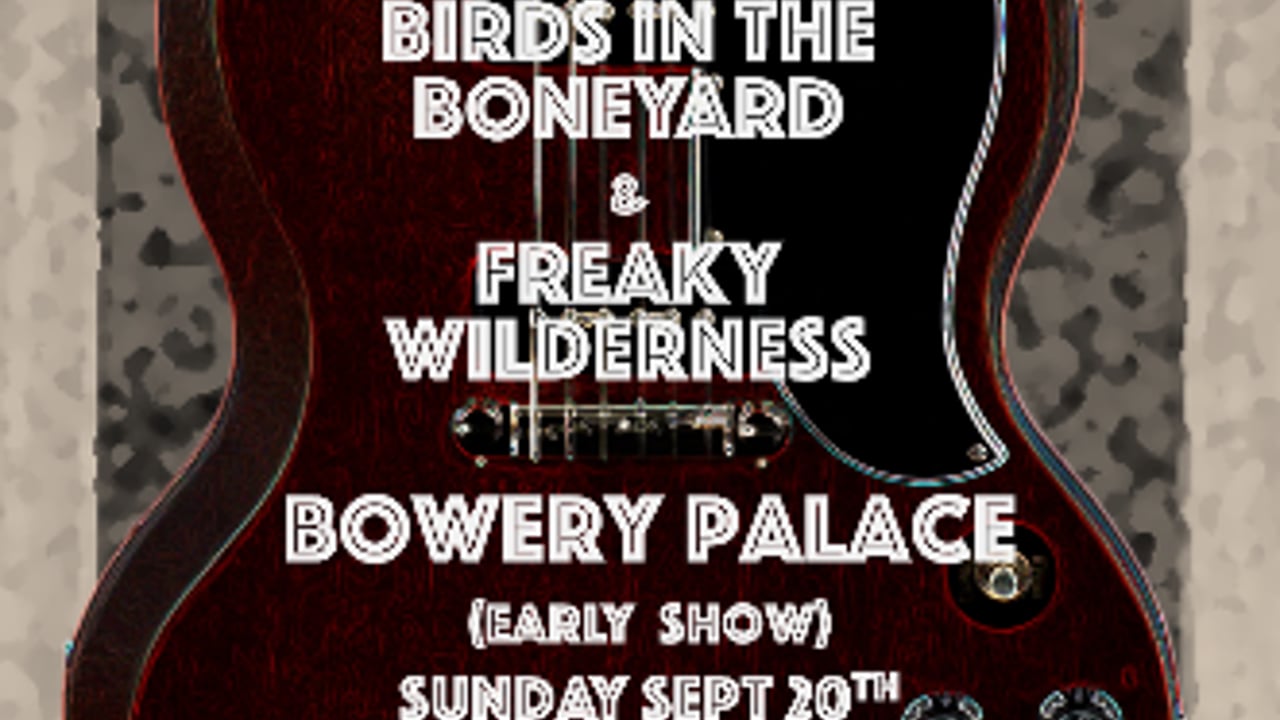 Dan Miraldi & The Rock N Roll Mercenaries | Birds In The Boneyard | Freaky Wilderness