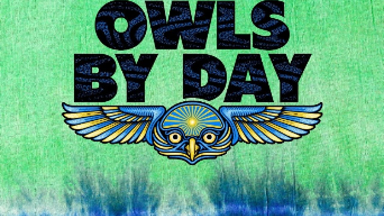 Owls By Day | Mothership Radio