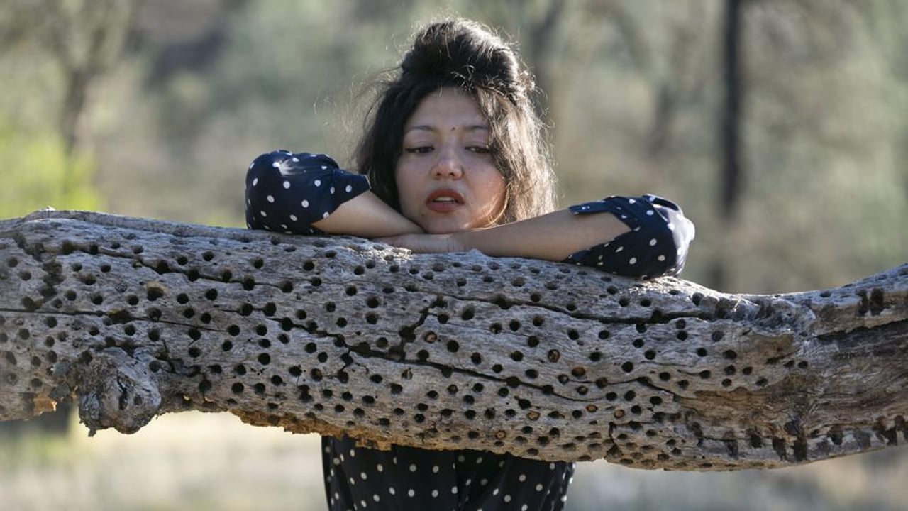 Shana Cleveland