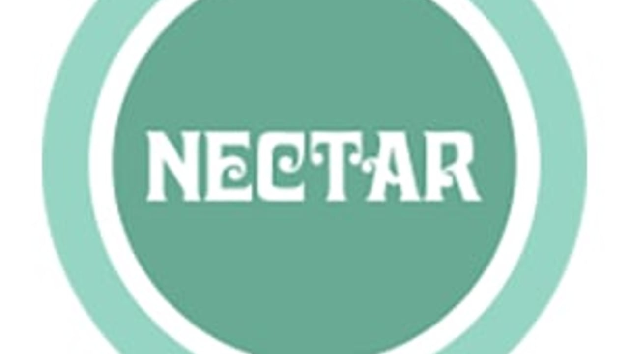 Nectar Lounge