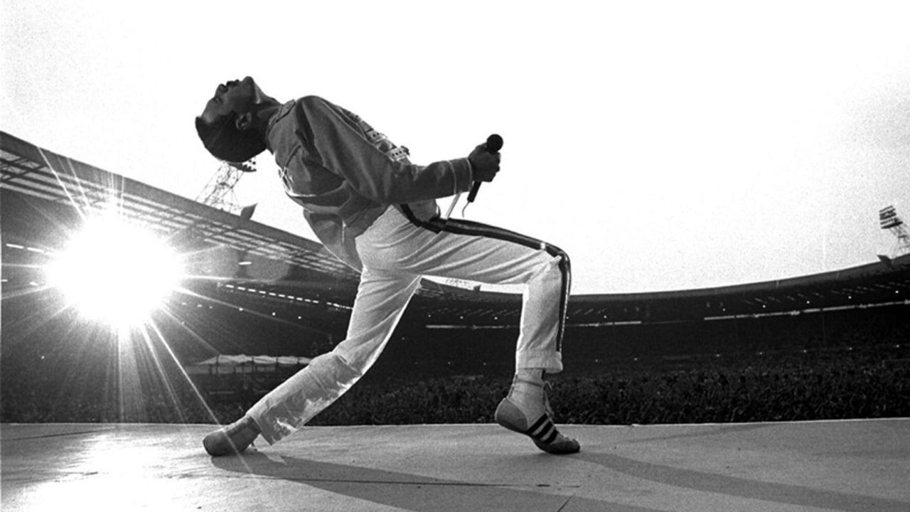 Happy Birthday Freddie