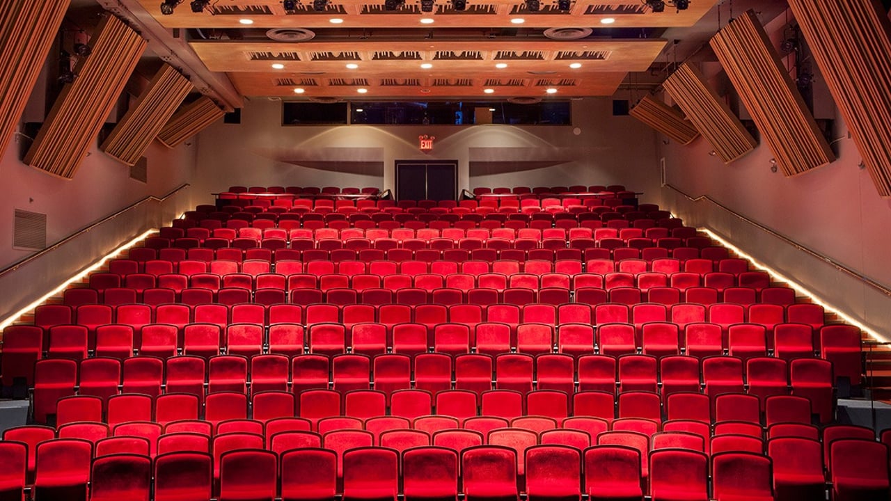 Florence Gould Theater at L'Alliance New York