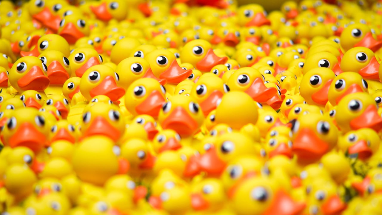 Duck Diabetes
