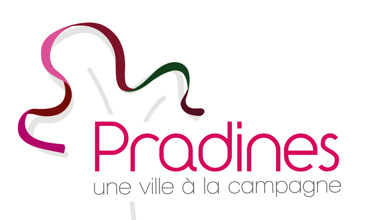 SALLE CULTURELLE DE LA PRADE
