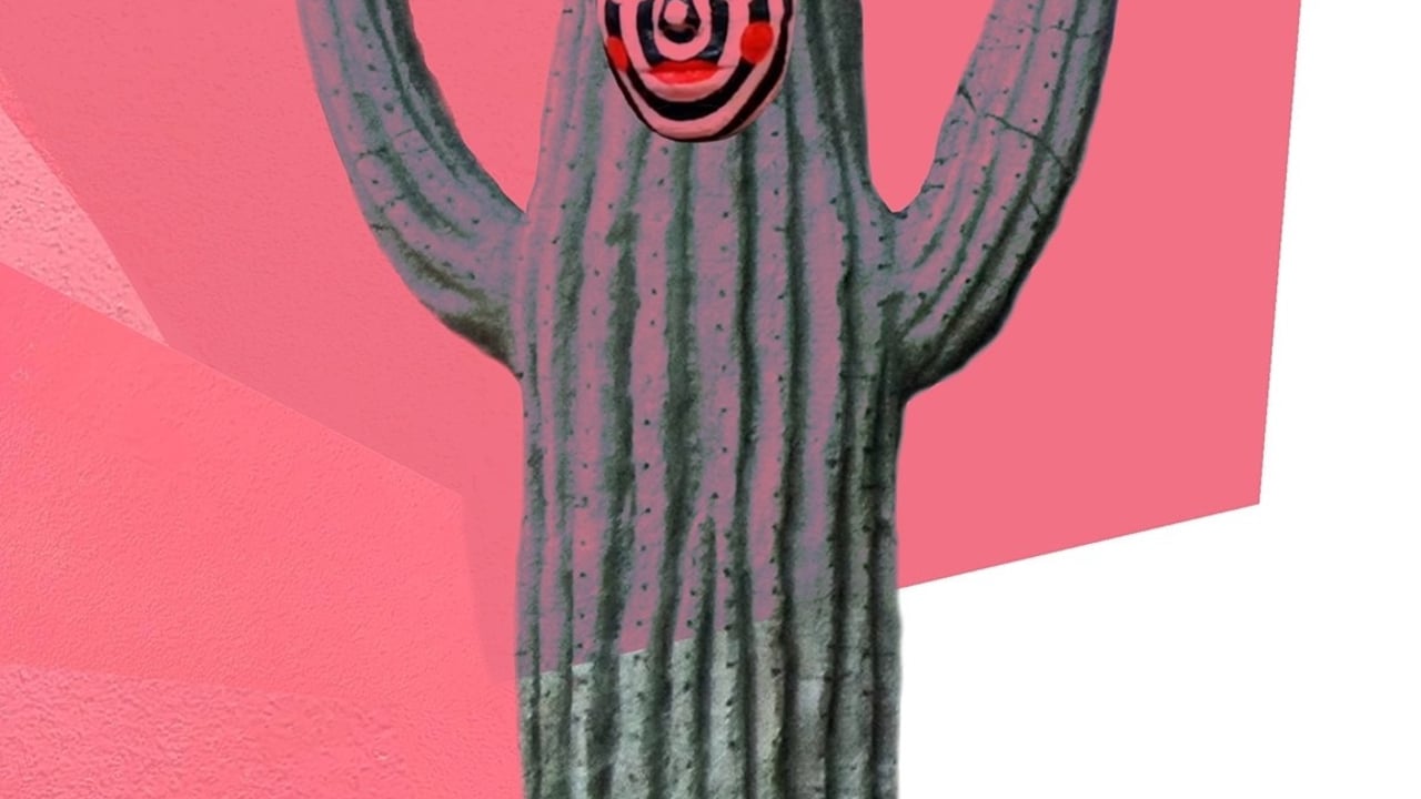 Kaktus