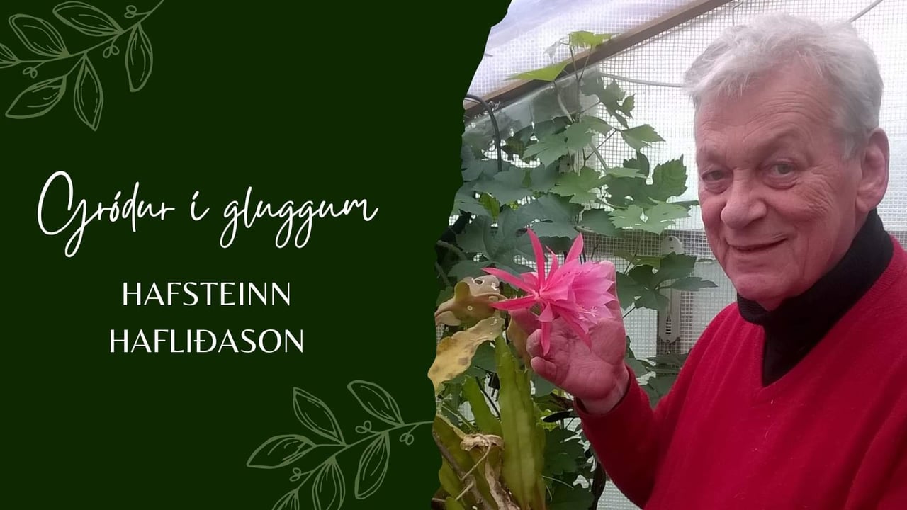 Bókasafn Suðurnesjabæjar