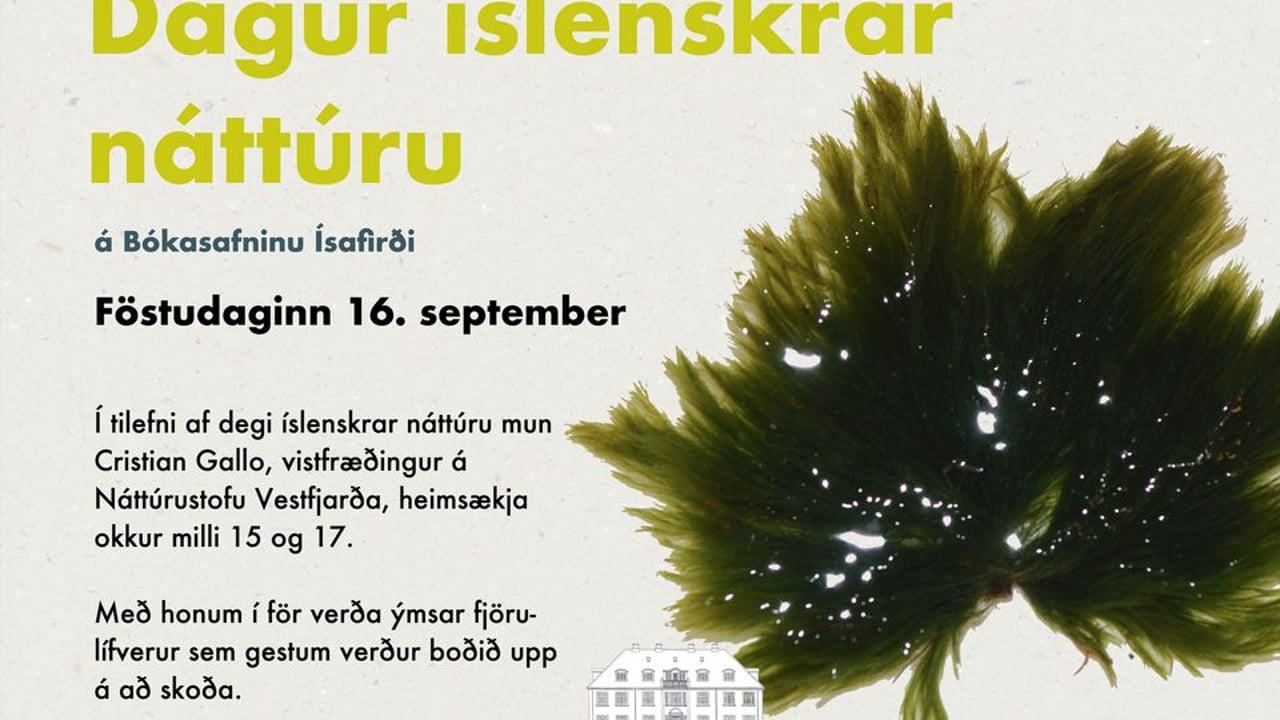 Bókasafnið Ísafirði