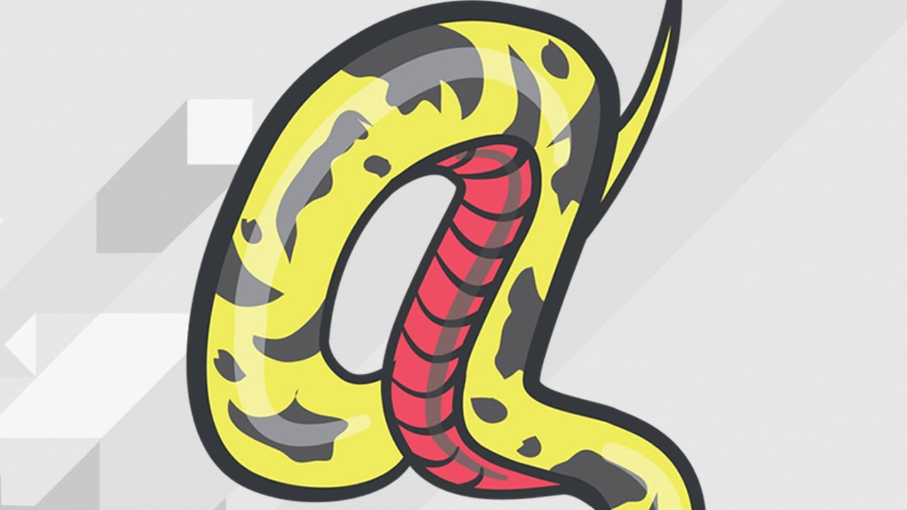 Anaconda Media