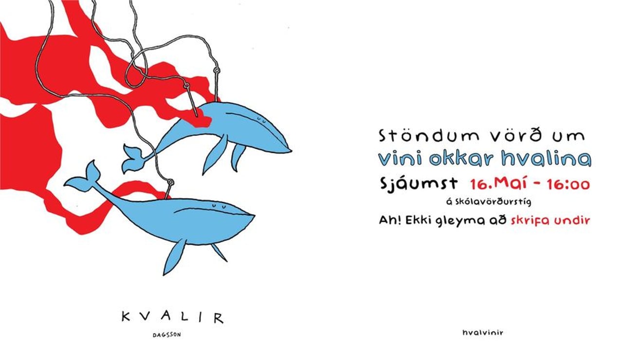 hvalavinir-stop whaling in iceland