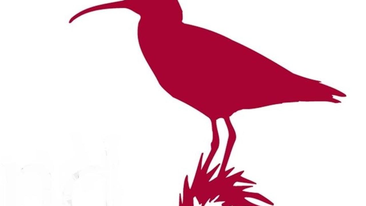 Fuglavernd - BirdLife Iceland