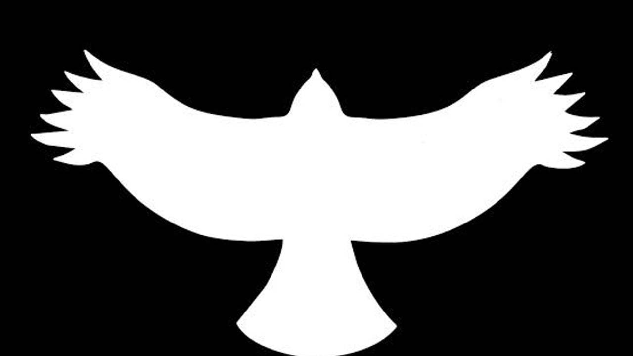 FooVana - The Australian Foo Fighters and Nirvana Tribute Show