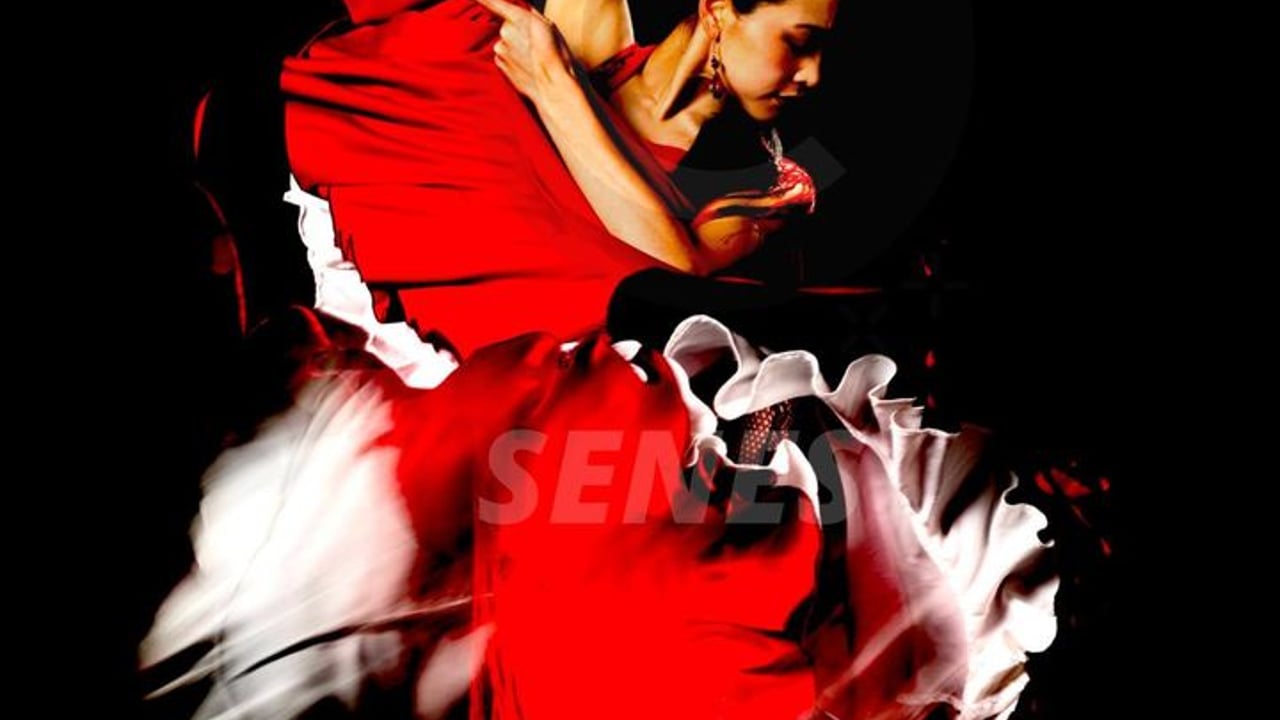SENES Flamenco