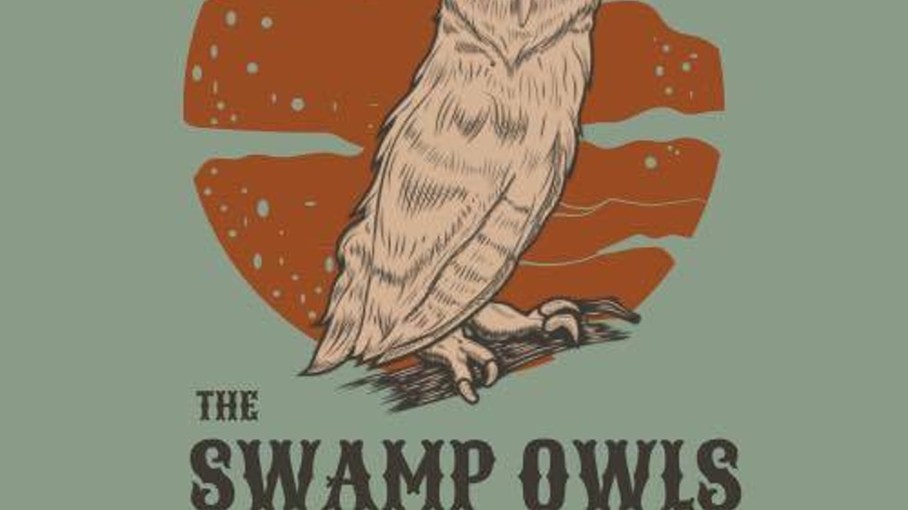 The Swamp Owls