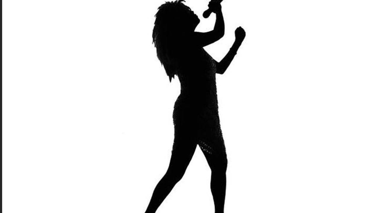 TINA The Ultimate Tribute to the Queen of Rock 'n' Roll