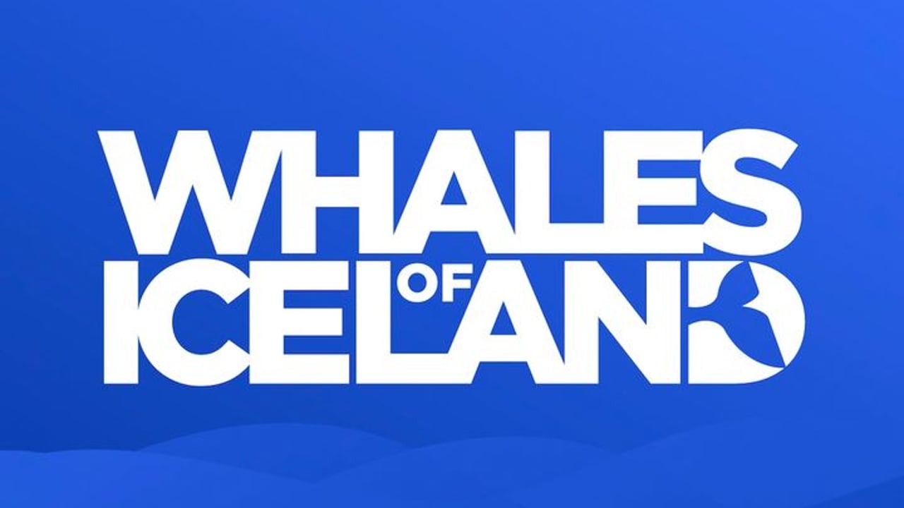 Whales of Iceland