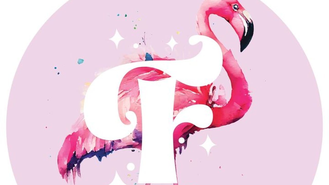 Flamingos Live