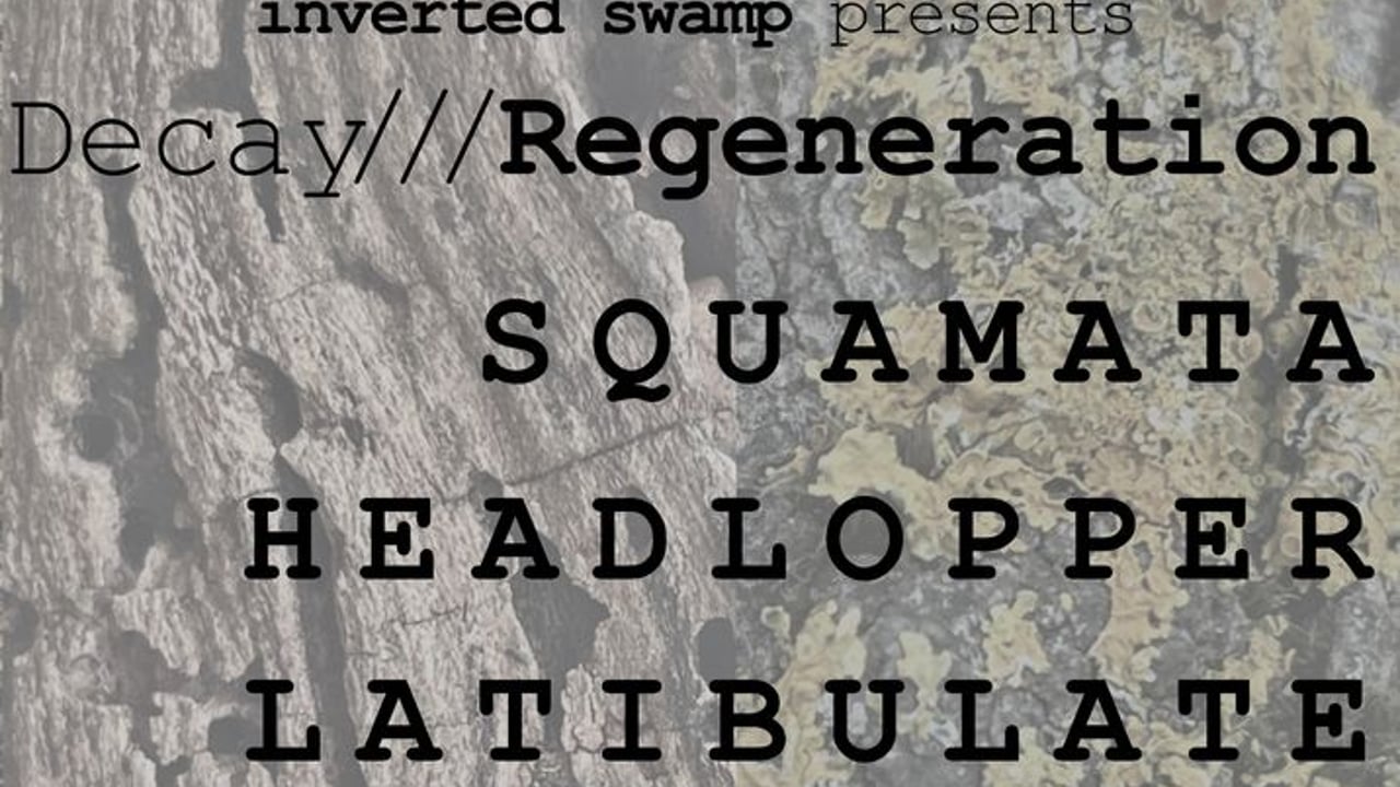 Inverted Swamp Promotion