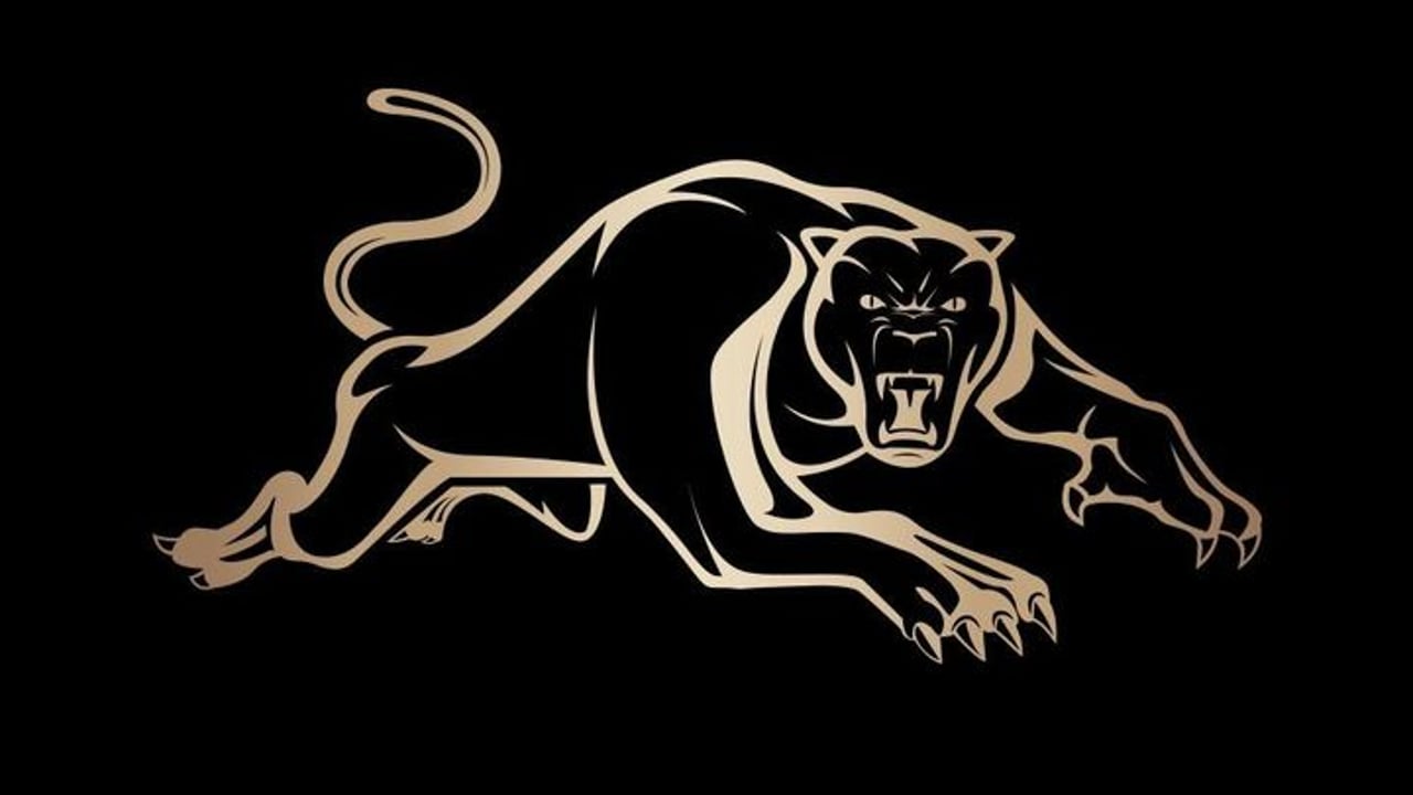 Port Macquarie Panthers