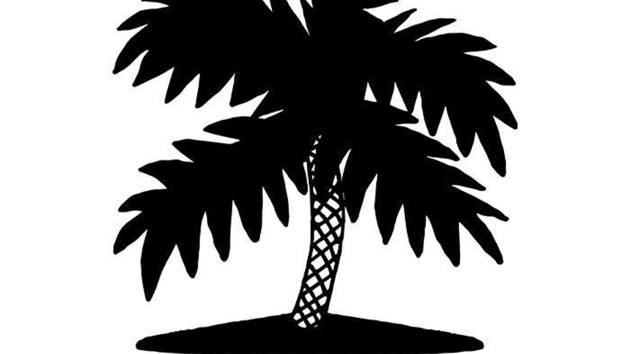 KD Palme