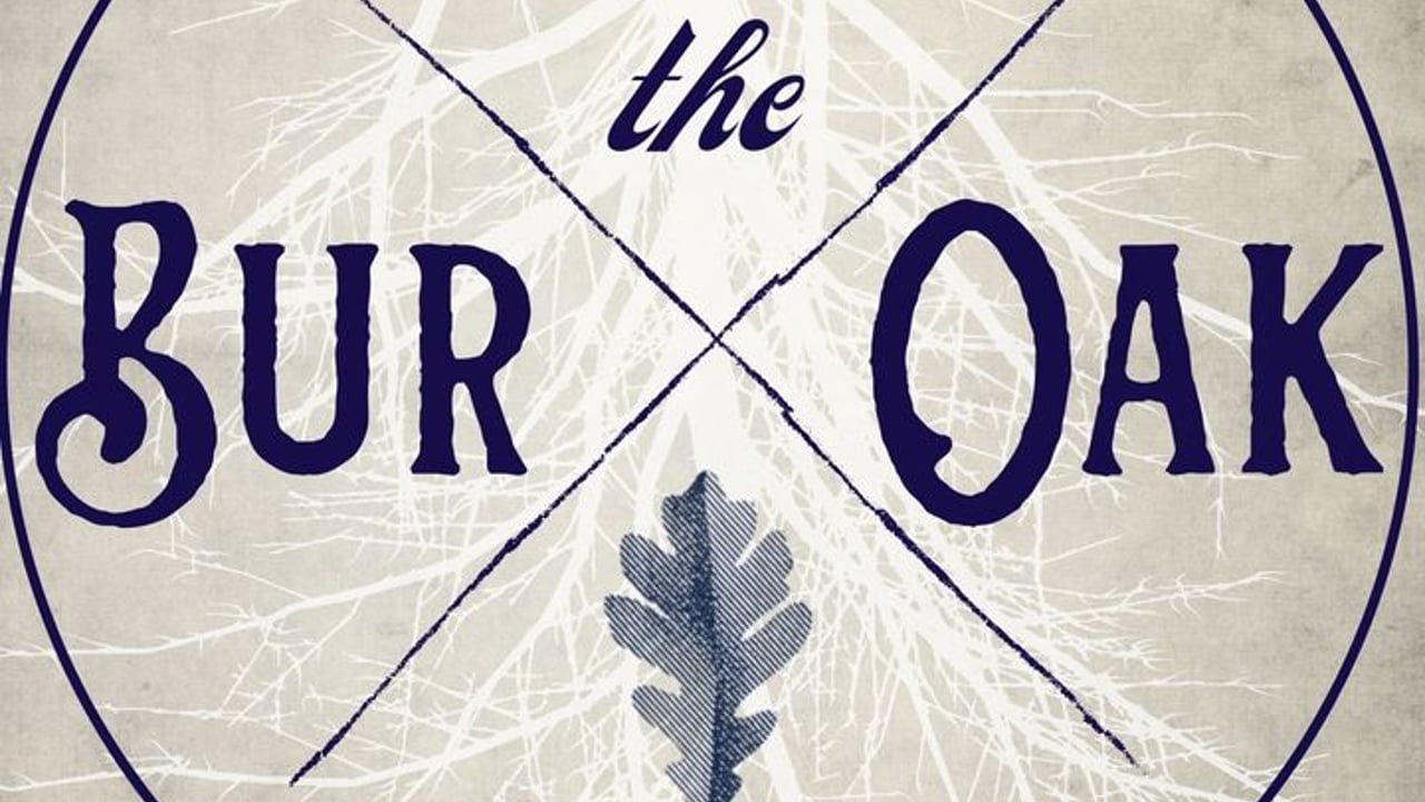 The Bur Oak
