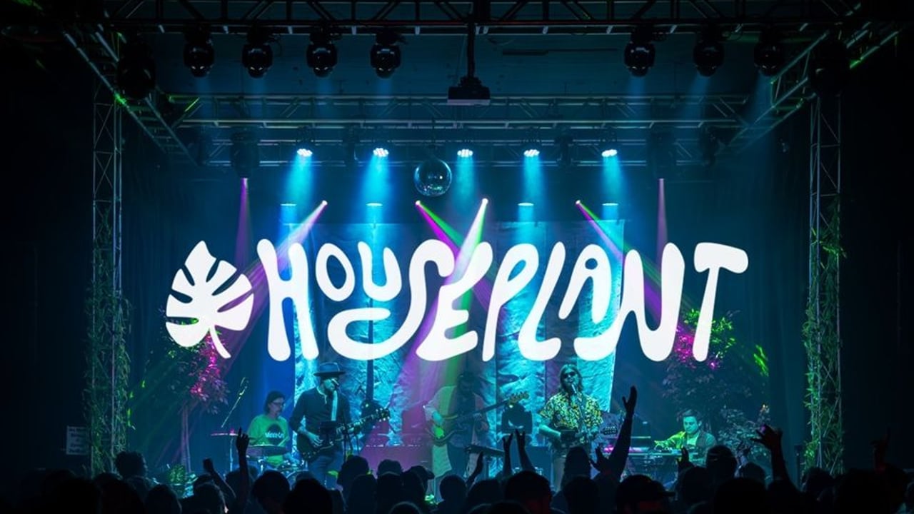 Houseplant