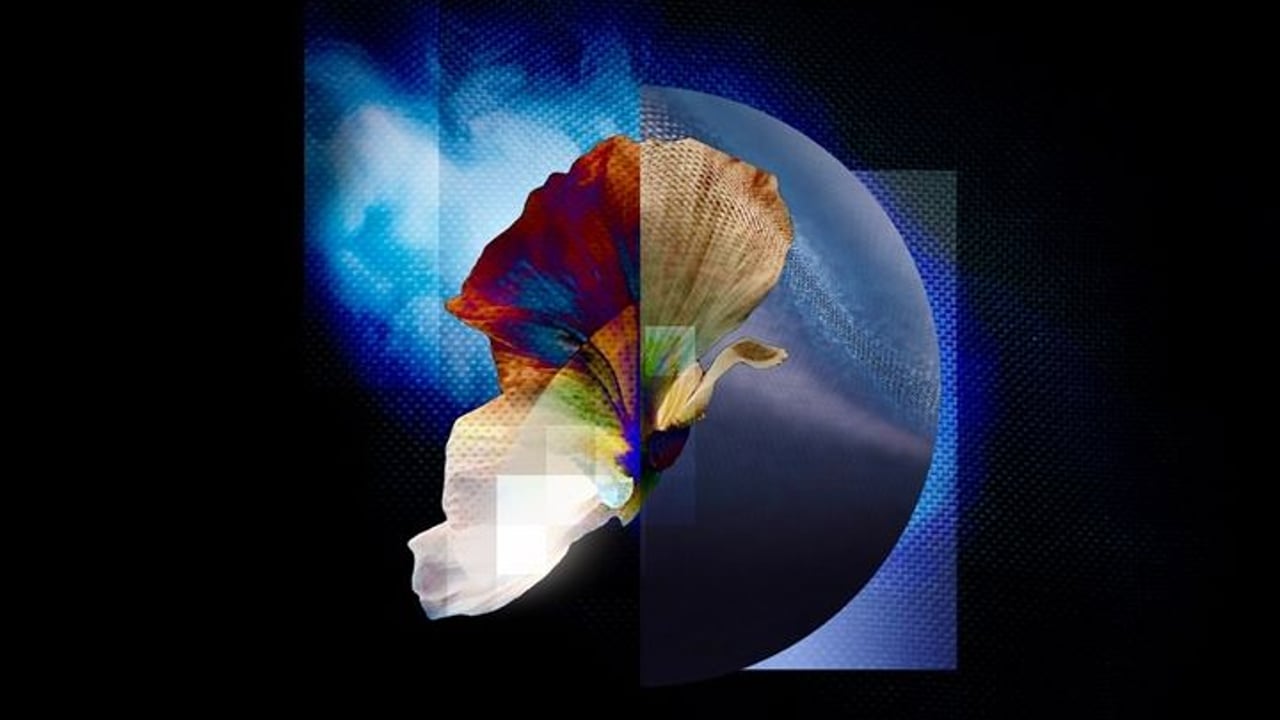 Sungazer