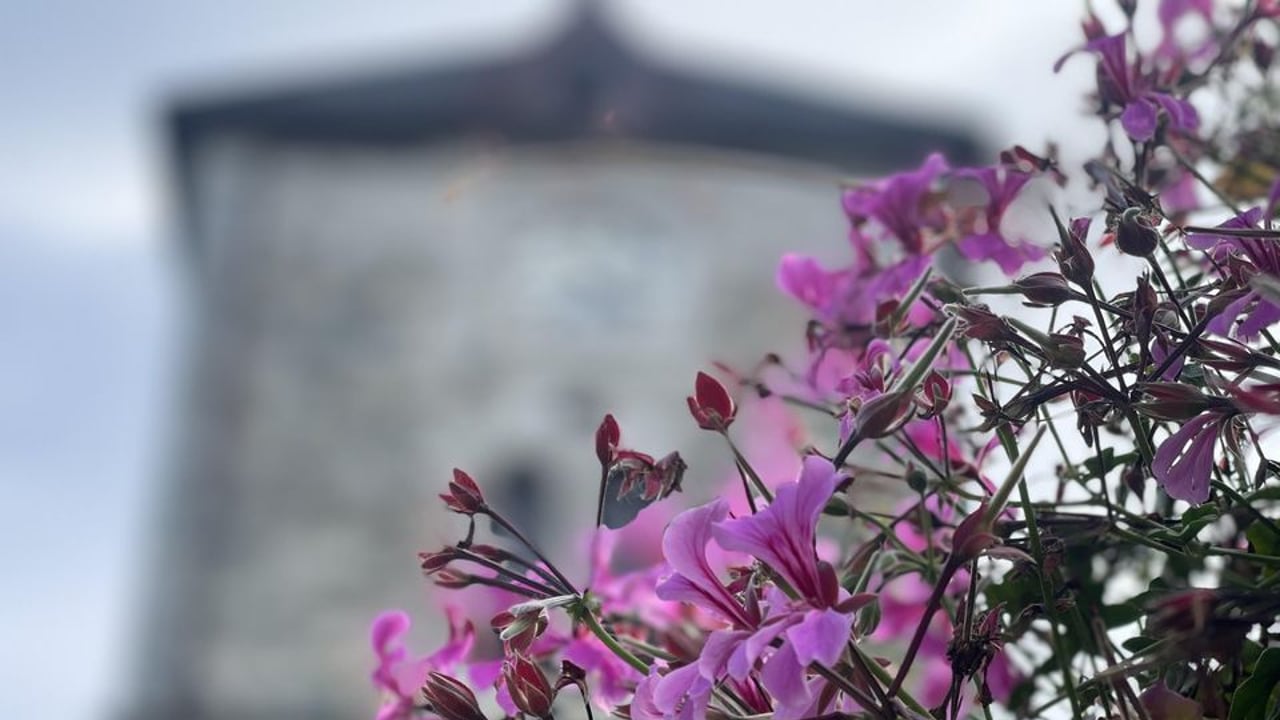 Vår Frue Kirke