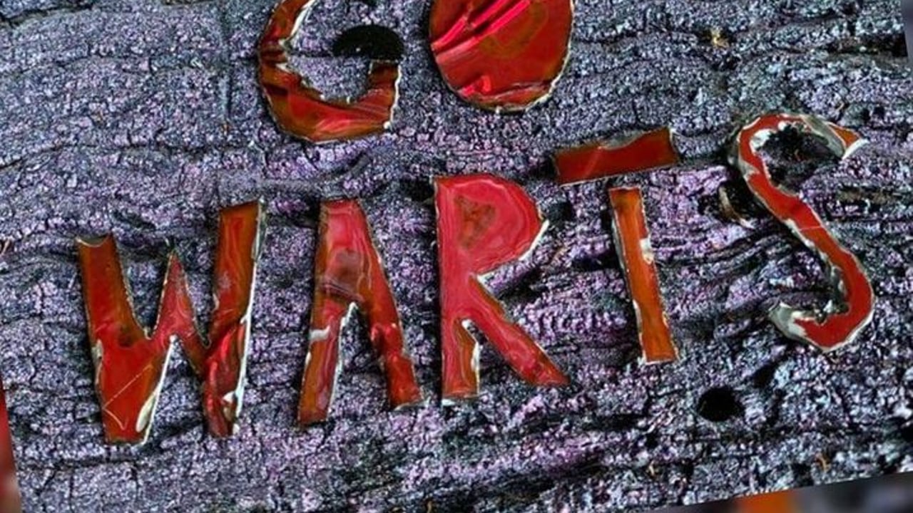 The Warts