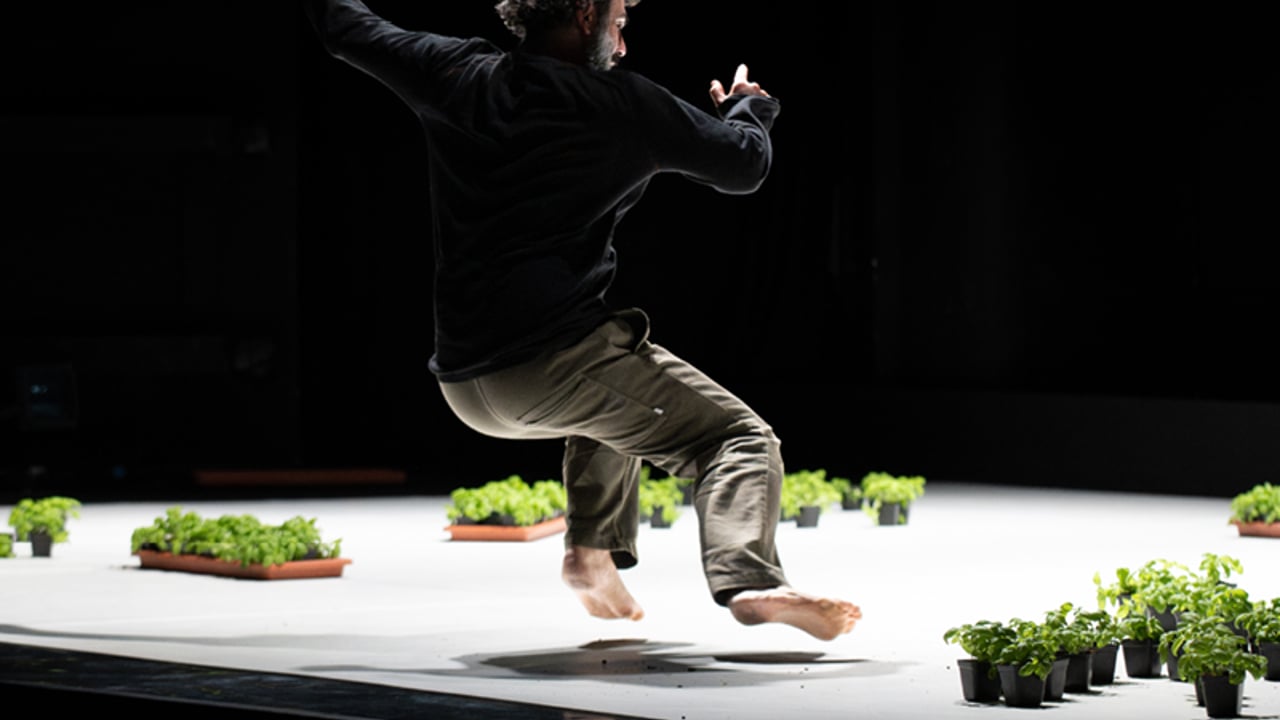 Dance is not for Us - Omar Rajeh - Sýnt á RDF