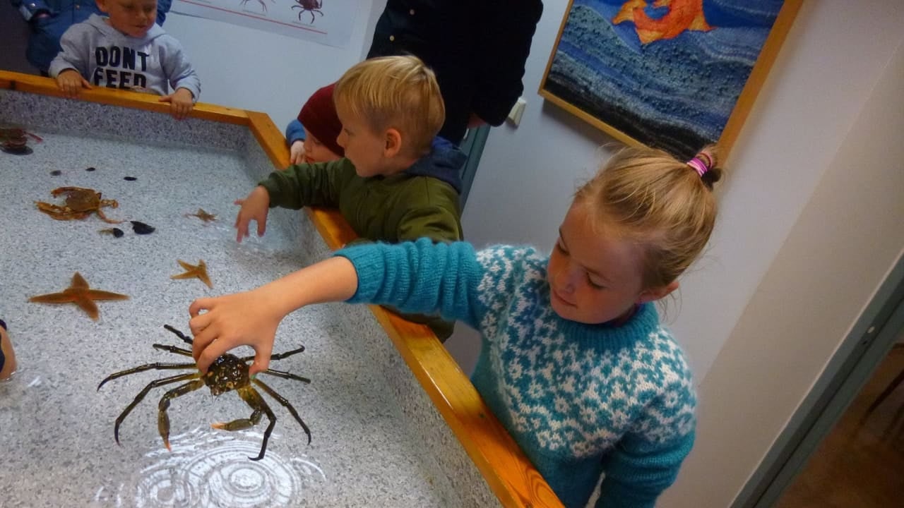 Sudurnes Science and Learning Center