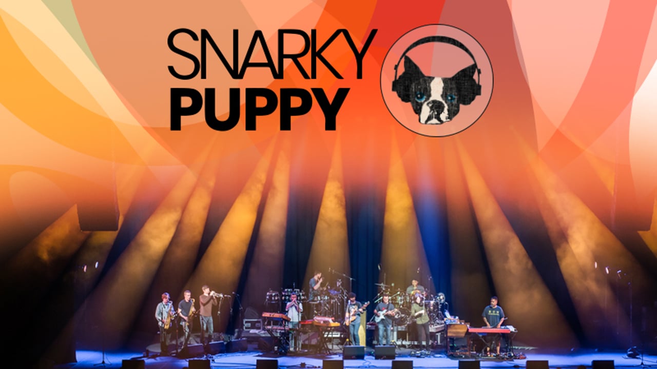 Snarky Puppy