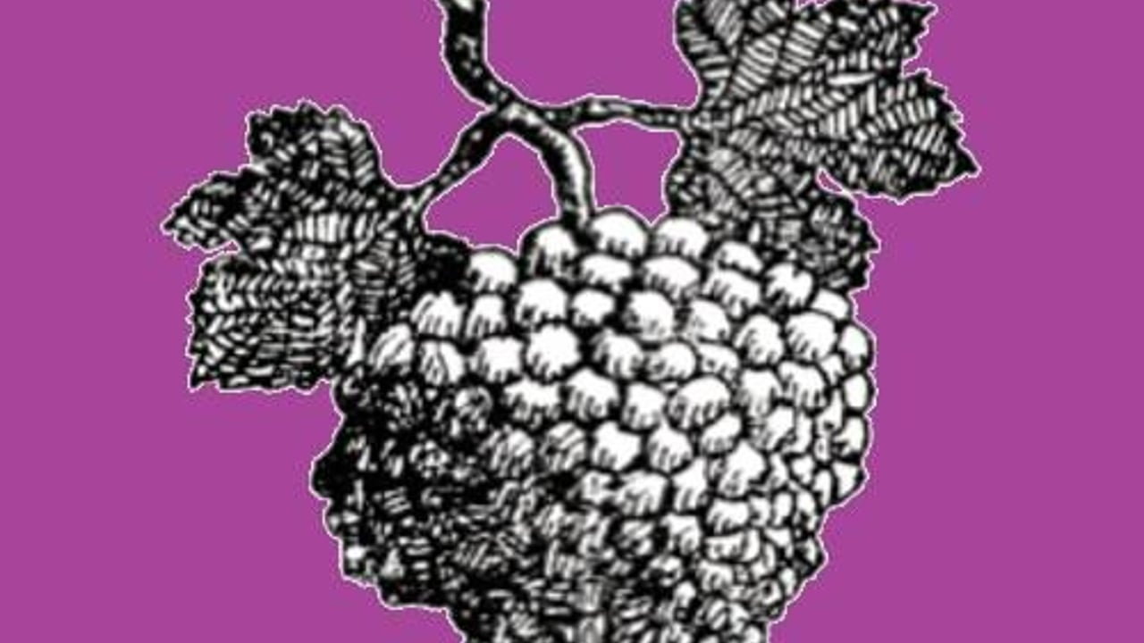 Grape Organisation