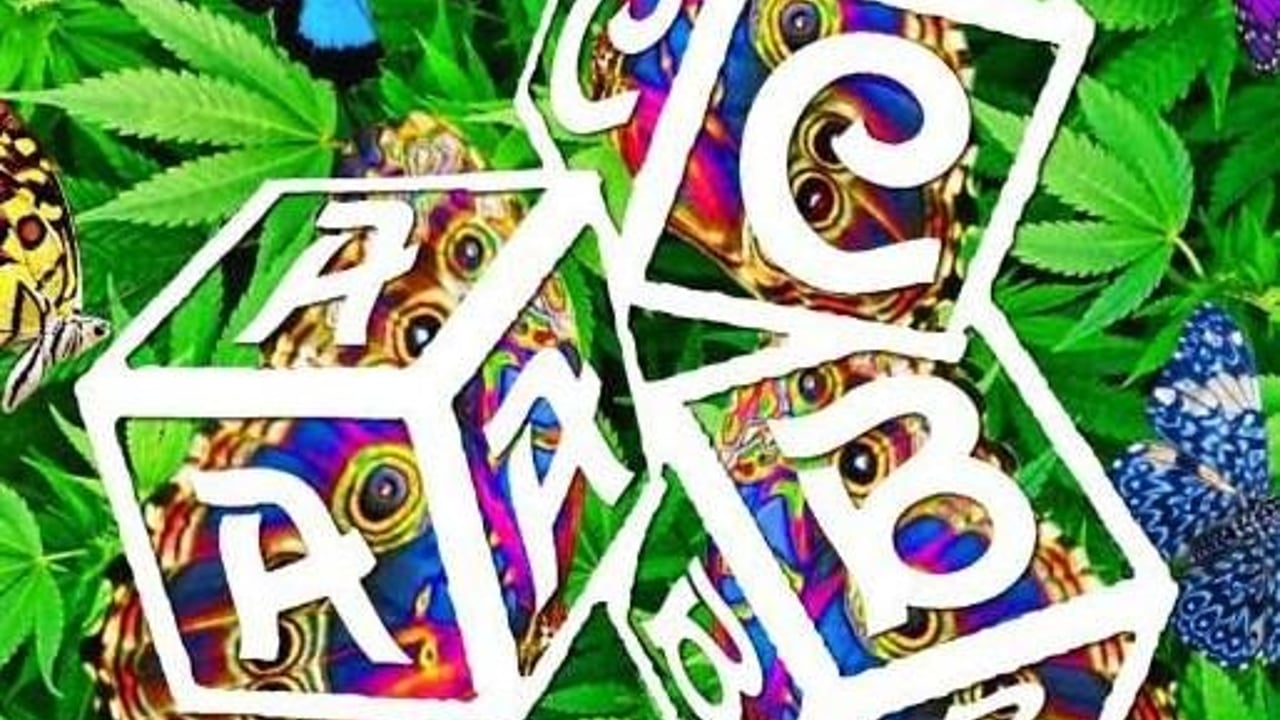21st Annual JERRY GARCIA CELEBRATION featuring ANDY COE BAND (21+ Event)