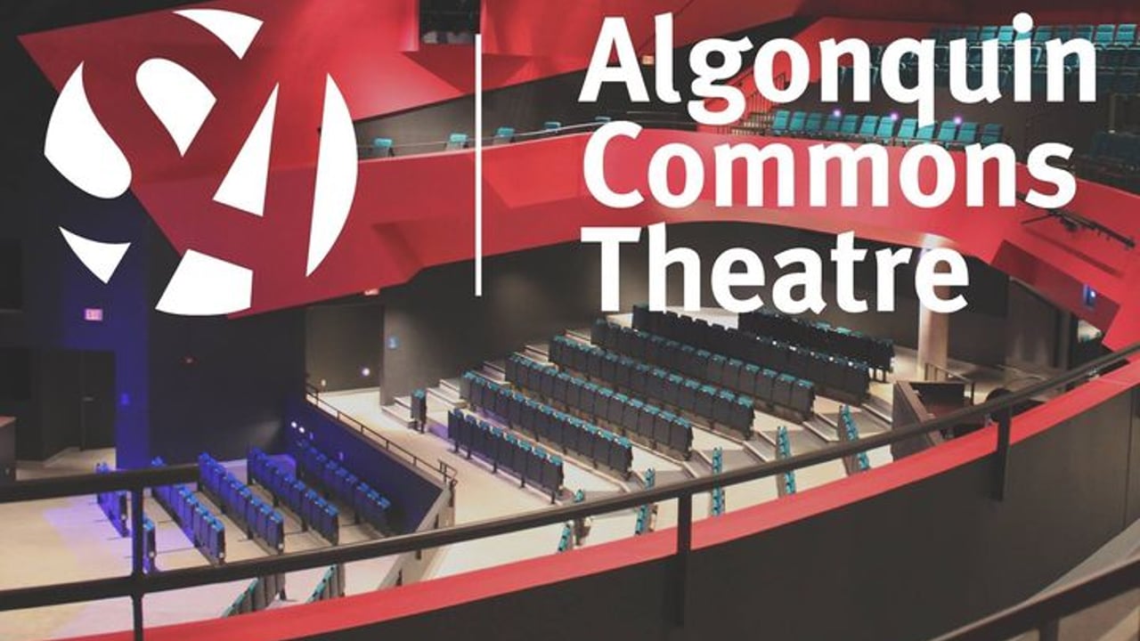 Algonquin Commons Theatre