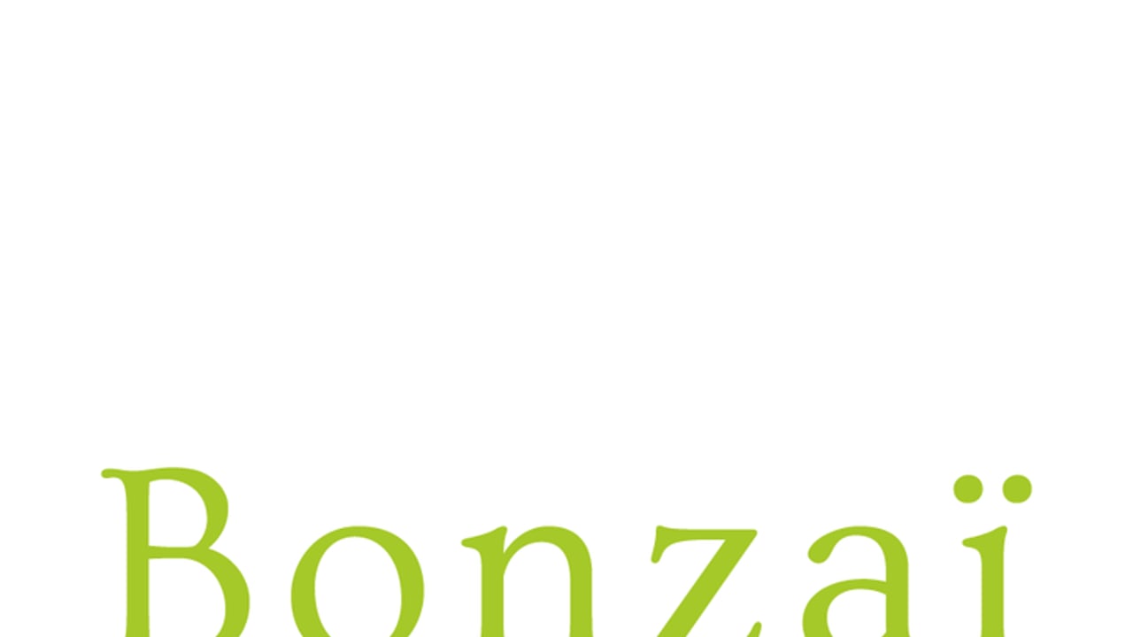 Spectacles Bonzaï