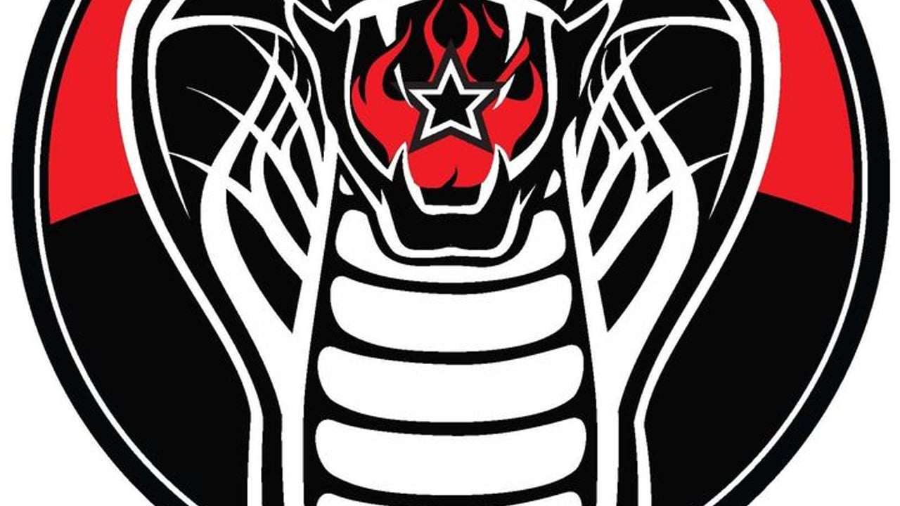Cobra Lounge