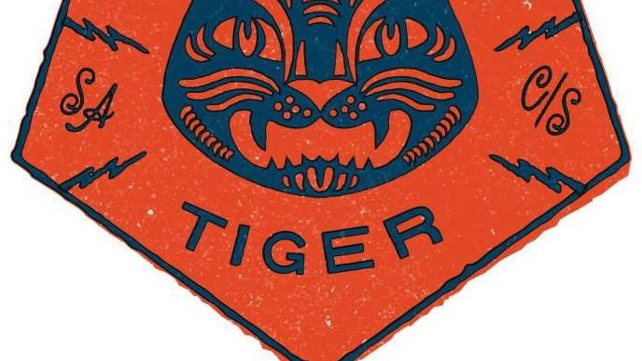 Paper Tiger