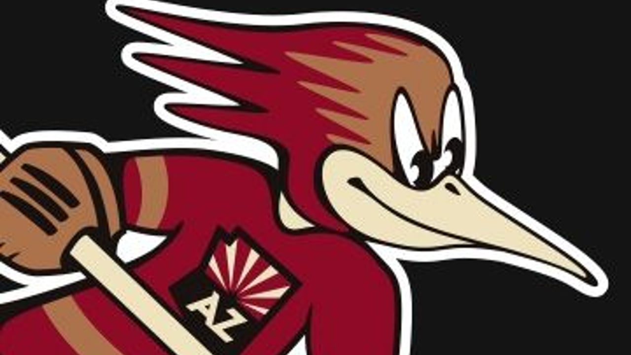 Tucson Roadrunners