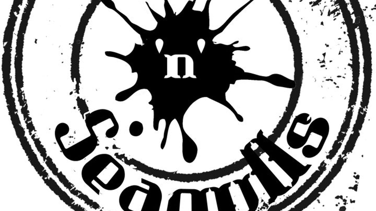 Steve'n'Seagulls