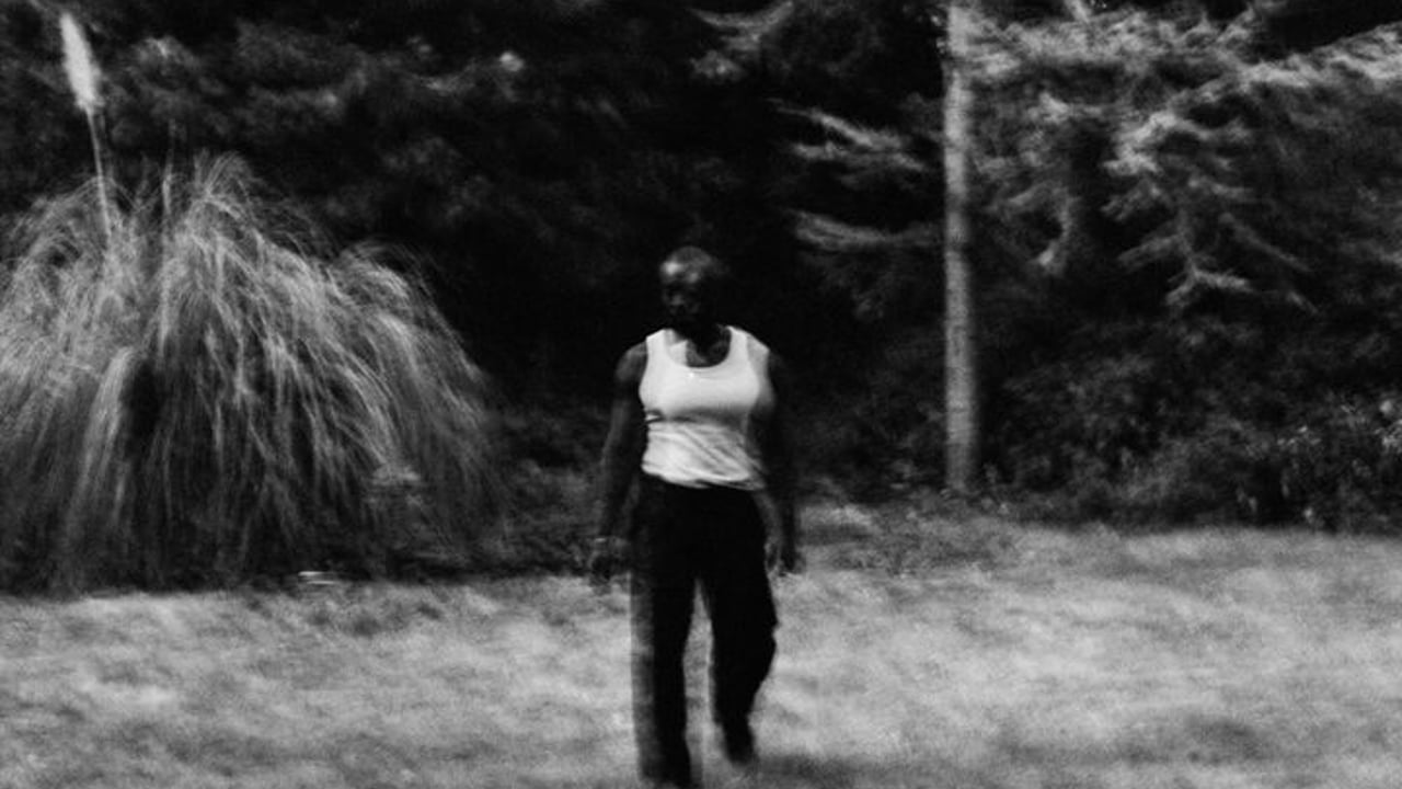 Kwaku Asante