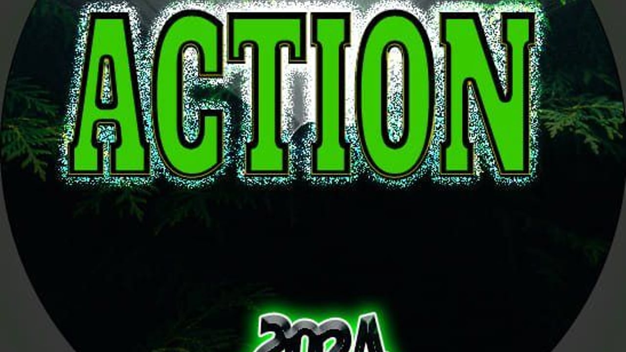 Action zenekar