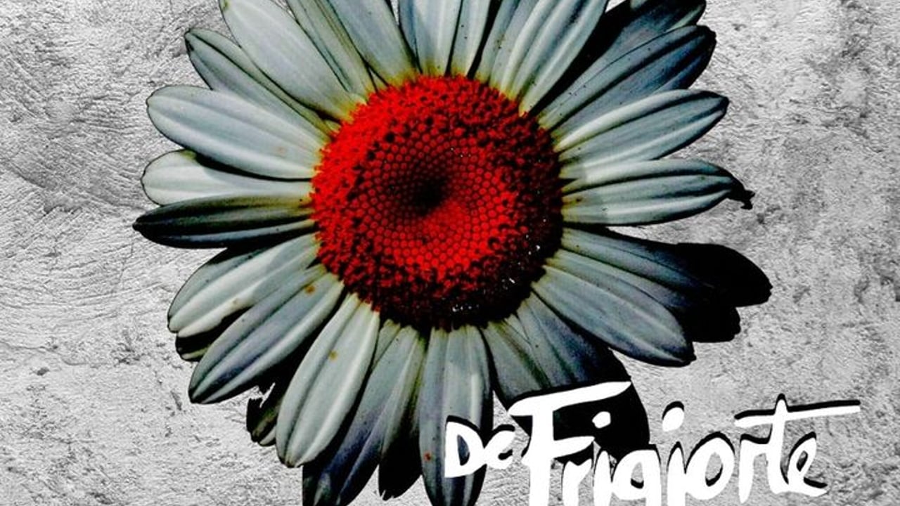 De Frigjorte