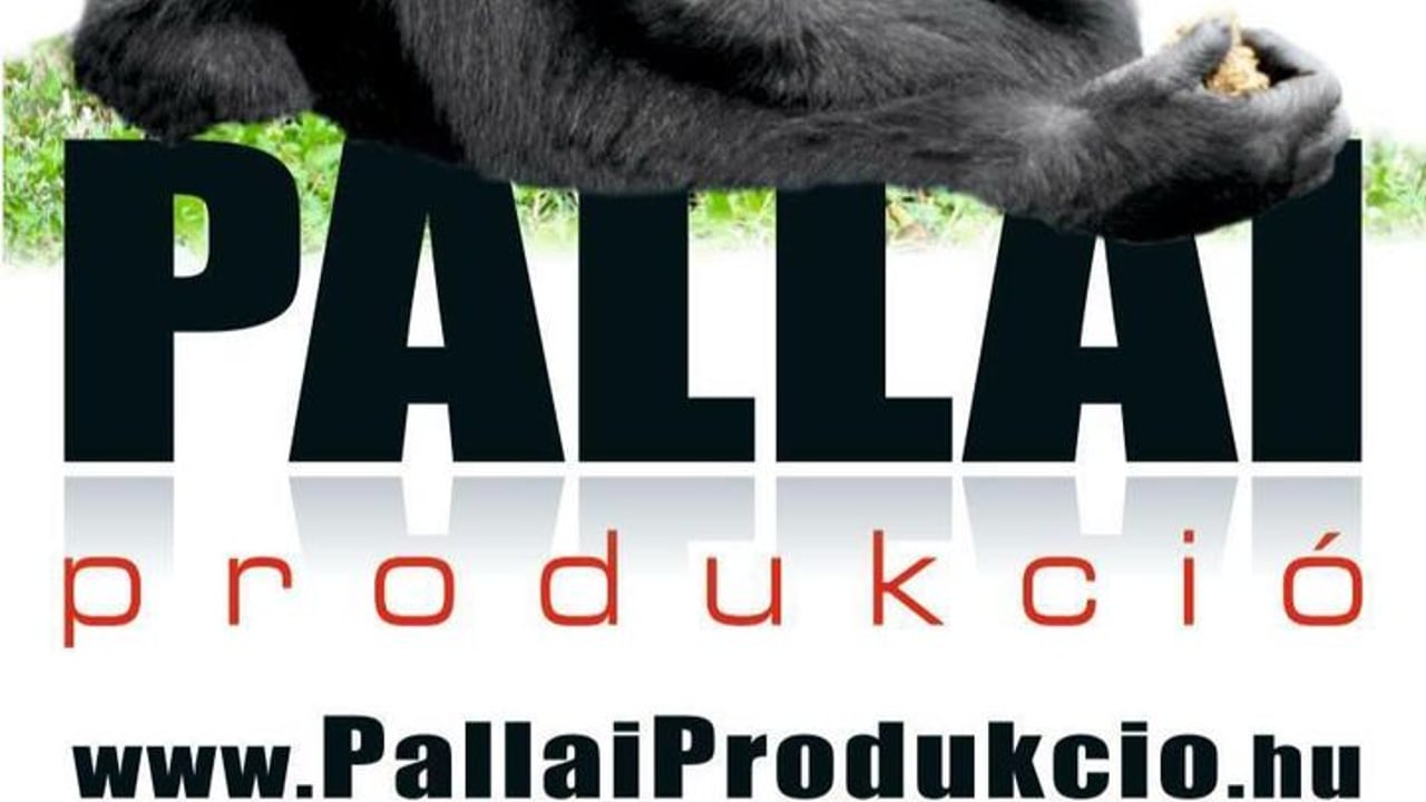Pallai Produkció
