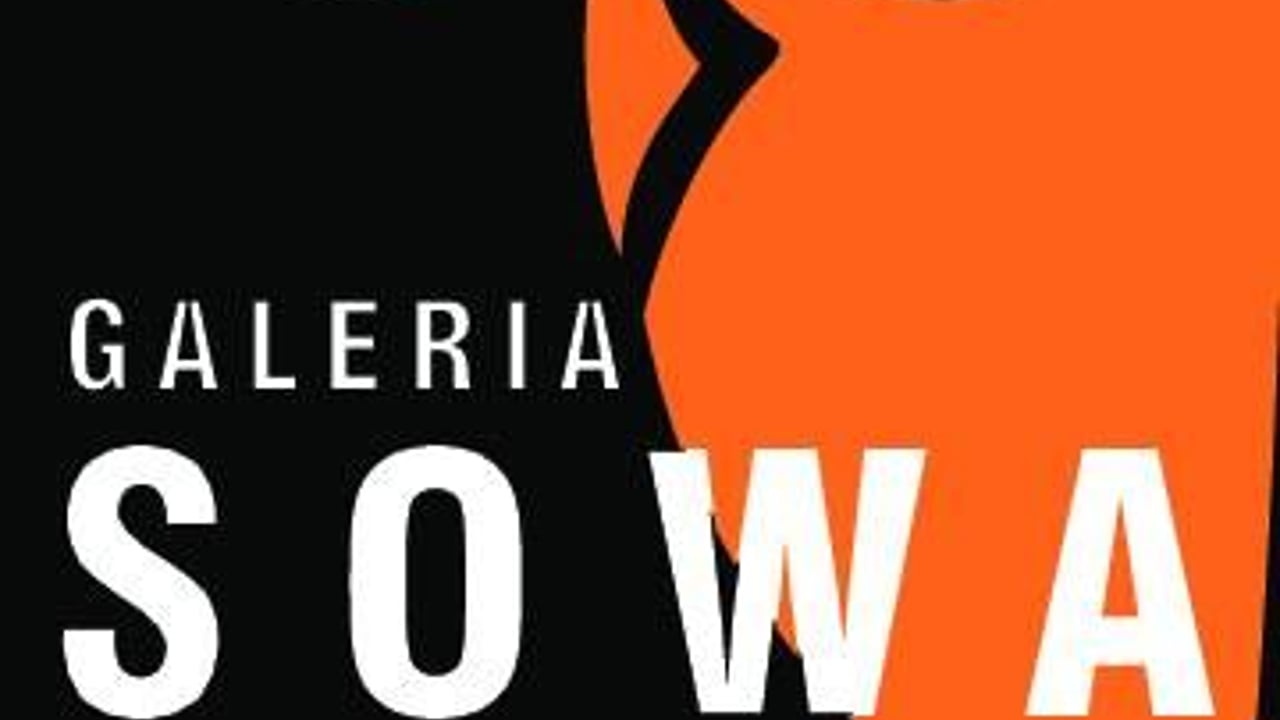 Galeria Sowa