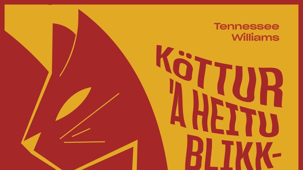 Köttur á heitu blikkþaki