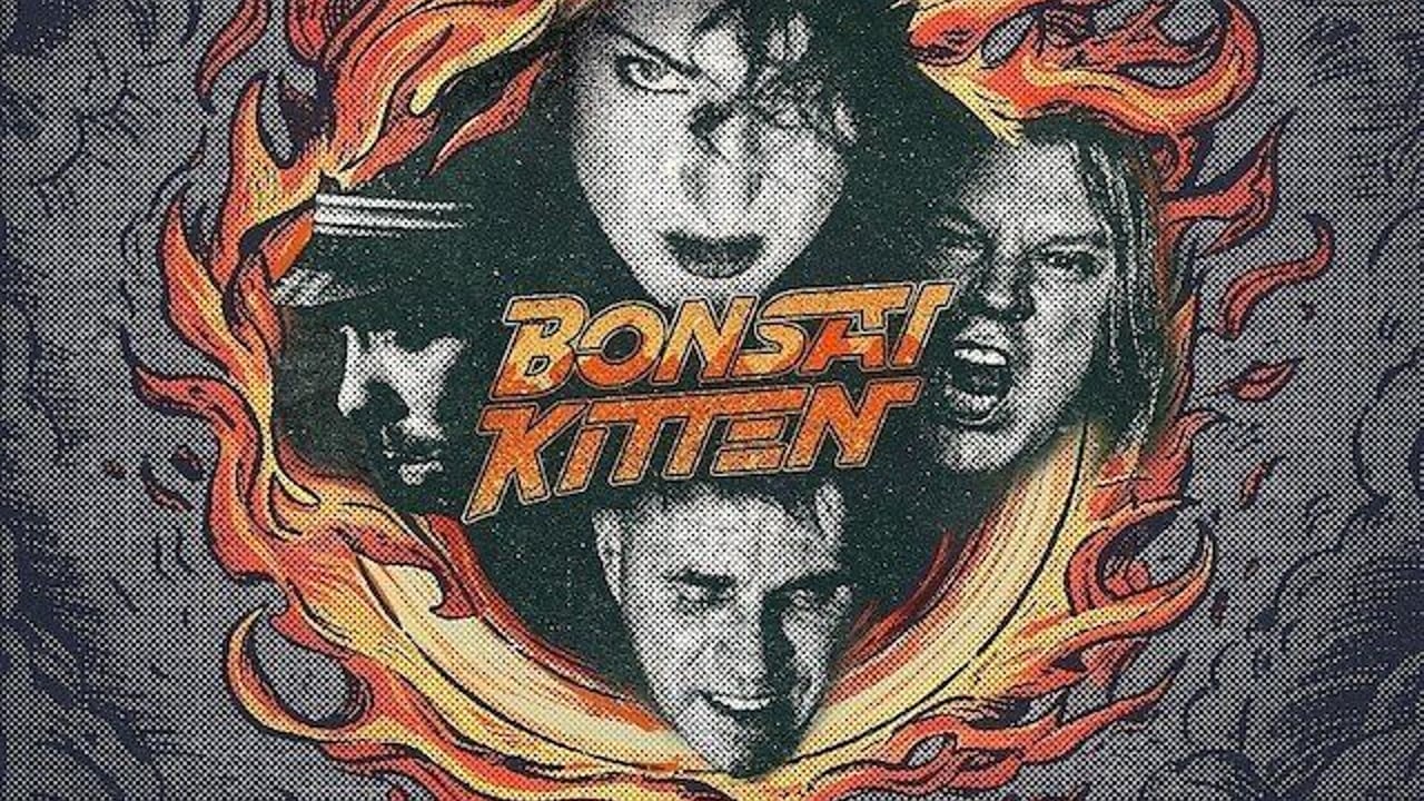 BONSAI KITTEN